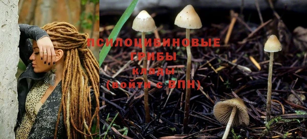 Альфа ПВП Абинск
