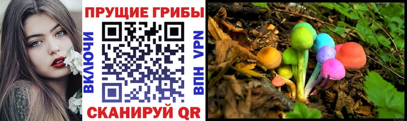 Псилоцибиновые грибы Psilocybe  Александровск 